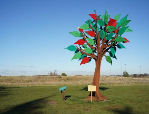 « Hier » et « Demain » – Créations chorégraphiques de Karine Saporta – Inauguration des 177 arbres de la liberté